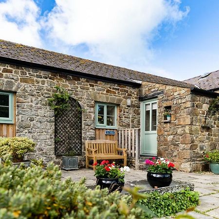Cwm Connell Coastal Cottages Moylgrove Екстериор снимка